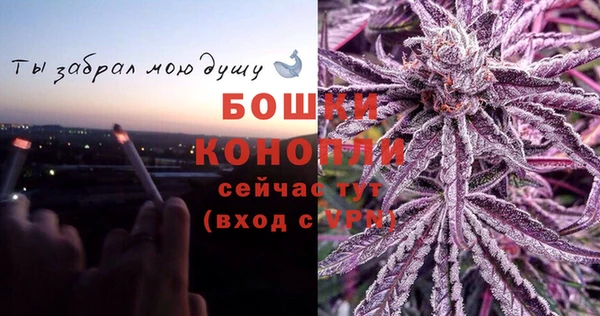 2c-b Лагань