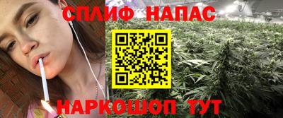 молекула духа Можайск