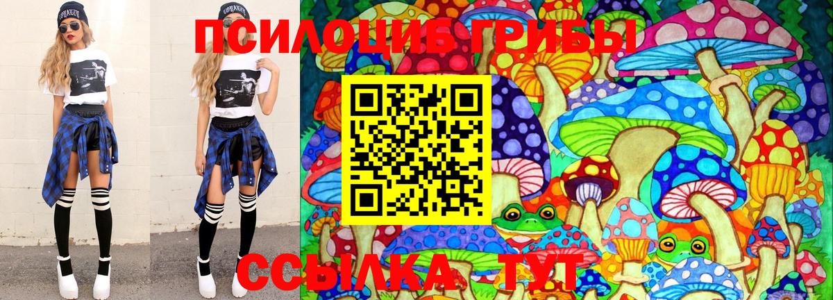 Псилоцибиновые грибы GOLDEN TEACHER Темрюк