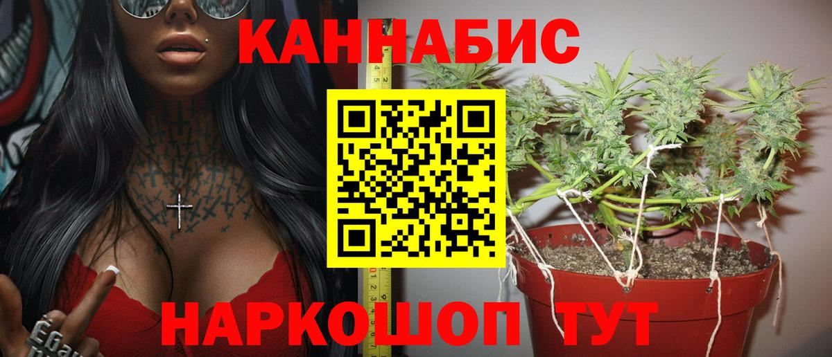 Каннабис Amnesia  Шишки марихуана OG Kush  Темрюк 